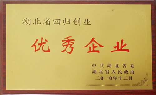 2010湖北省回归创业优秀企业